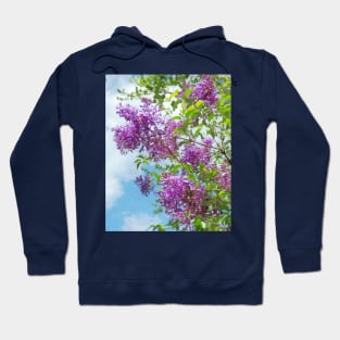 Lilacs on a Sunny Day Hoodie